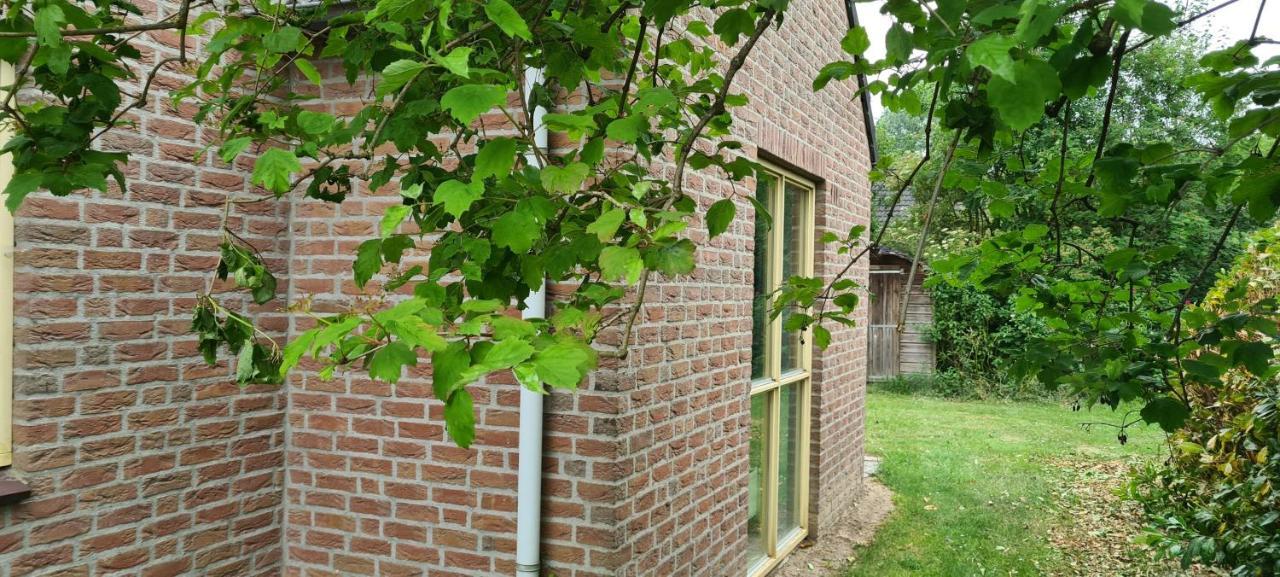 Forestview 'Queenstown' 6 Pers Very Child-Friendly By Kawatea Cottages (Adults Only) Ewijk Exterior foto